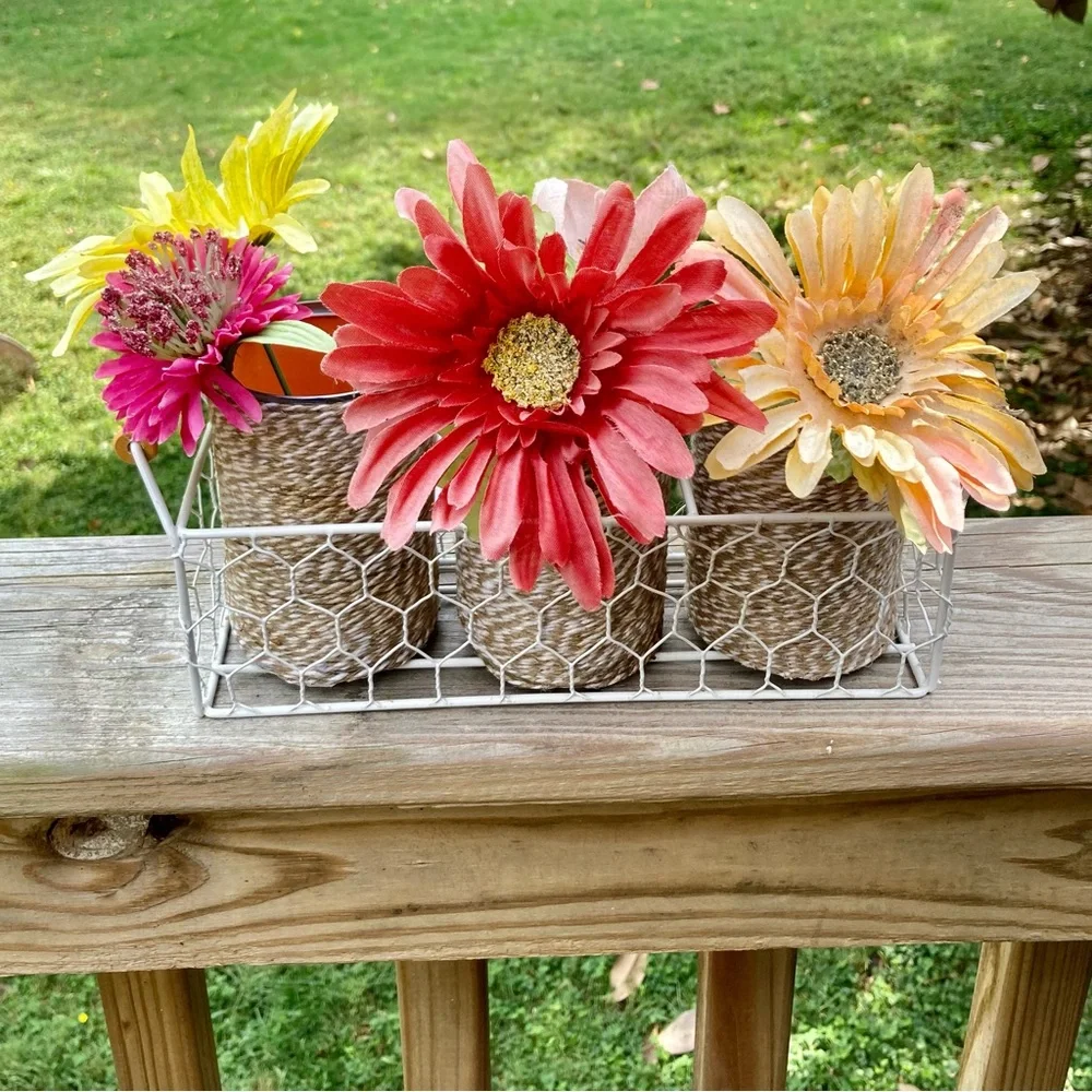 Farmhouse Shabby Chic Chicken Wire Basket Caddy Server 3 Twine Wrapped Cans